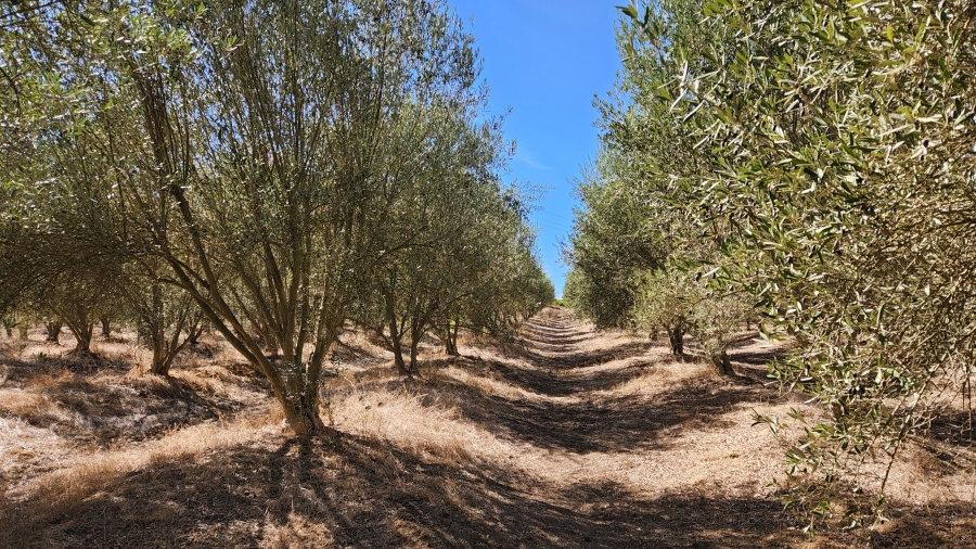 Commercial Property for Sale in Wellington Rural Western Cape